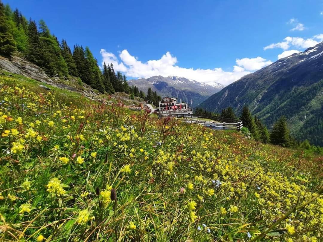 Alpengasthof Gaislach Alm Hotel Сьолден Екстериор снимка